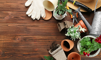 Green Thumb Galore: Embrace the Beauty of Gardening Week!