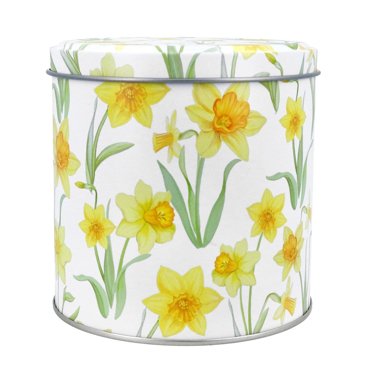 Gisela Graham Easter Jugs Daffodil Design Storage TIn