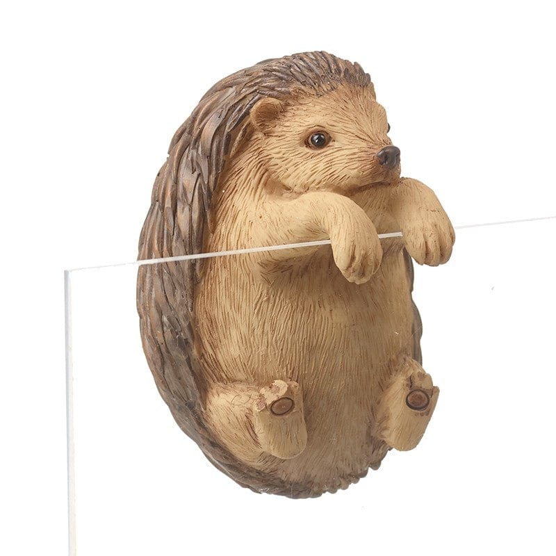 Sifcon International Ovenglove Hedgehog Animal Design Plant Pot Hanger - Choice of Design