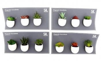 Sifcon International Artificial Plants Set of Fridge Magnets With Succulents in Pots - Random Selection
