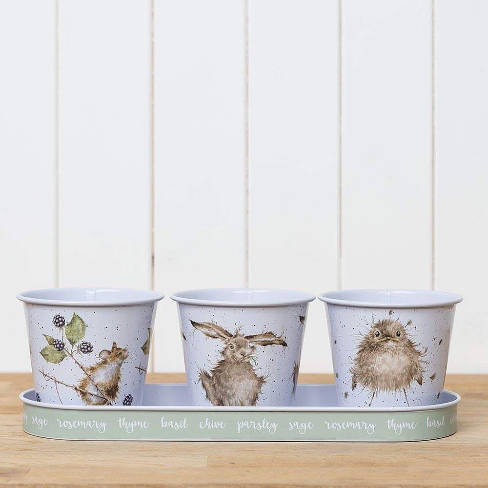 Wrendale Designs Jugs Illustrated Countryside Herb Pots with Tray