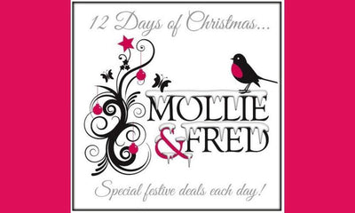 12 Days of Christmas