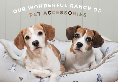 Perfect Pet Accessories | Mollie & Fred
