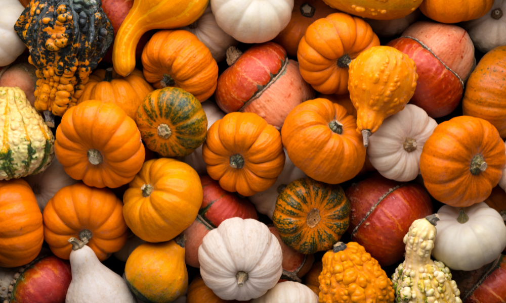Easy Pumpkin Carving Designs | Mollie and Fred Blog