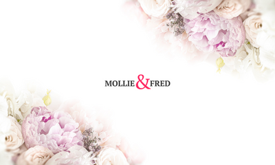 Reasons You Should Shop At Mollie and Fred | Mollie & Fred Blog