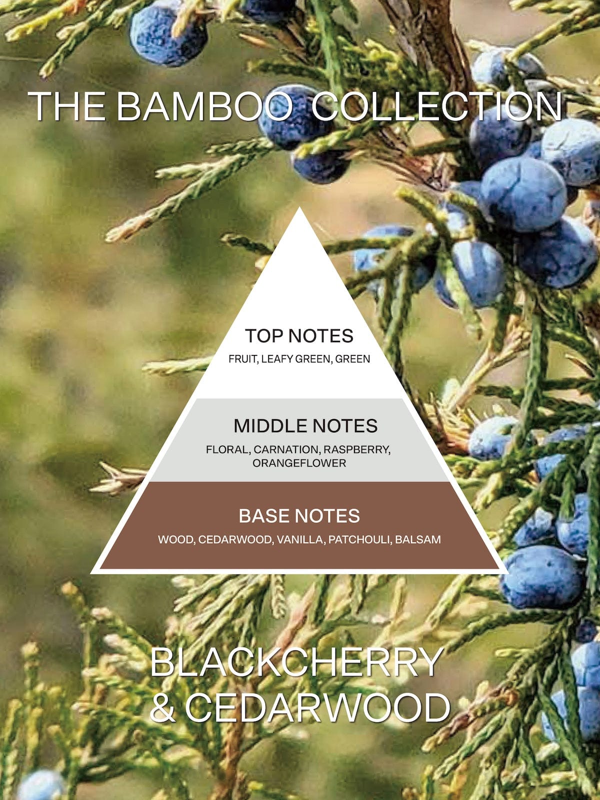 French Connection Candles & Diffusers Black Cherry and Cedarwood Rattan Scented Candle