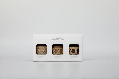 French Connection Candles & Diffusers Set of 3 Rattan Design Reed Diffusers