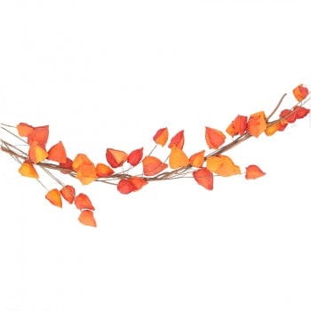 Physalis Lantern Garland Autumn Home Decoration