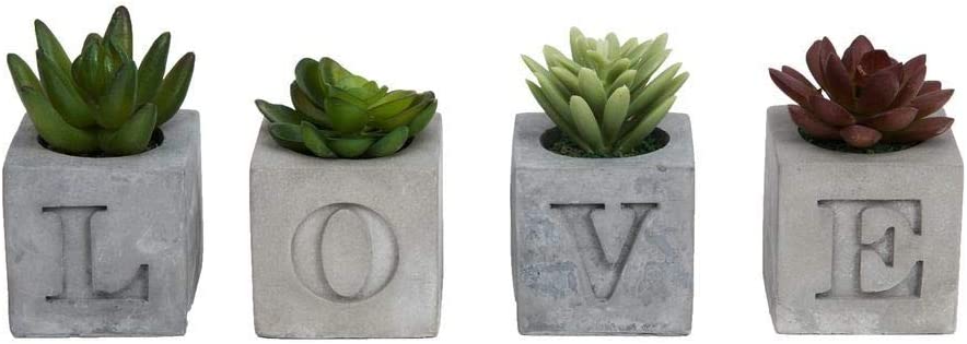 Heaven Sends Home accessories 'LOVE' Set of Four Faux Succulents