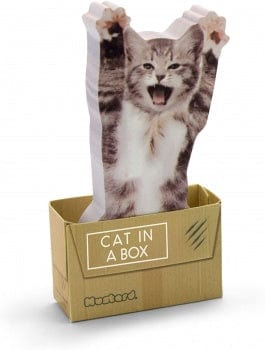 Cat In A Box Sticky Notes