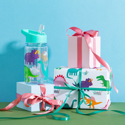 Sass & Belle Water bottle Dinosaur Design Water Bottle