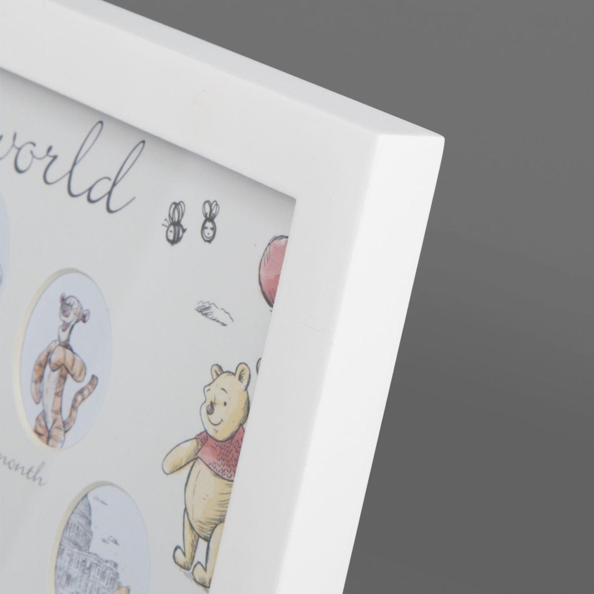 Widdop Gifts Photo Frames & Albums Disney Christopher Robin Baby's First Year Photo Frame