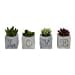 Widdop Gifts Home accessories 'LOVE' Set of Four Faux Succulents