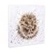 Wrendale Designs Posters & Prints "Awakening" Hedgehog Canvas