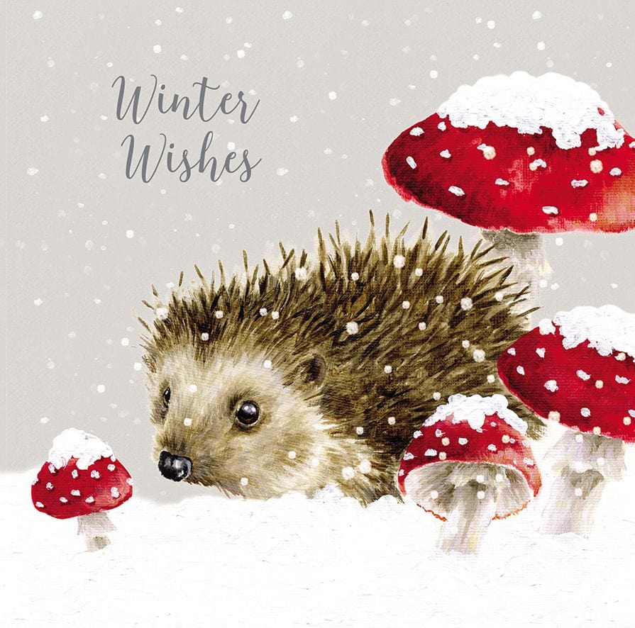 Wrendale Designs Cards Hedgehogs with Toadstools 8 Luxury Christmas Cards