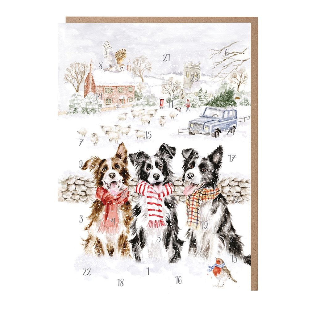 Wrendale Designs Advent Calendar While shepherds watched Illustrated Animal Design Advent Calendar Cards