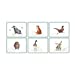 Wrendale Designs Coasters & Placemats Set of Six Illustrated Animal Placemats