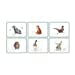 Wrendale Designs Coasters & Placemats Set of Six Illustrated Animal Placemats