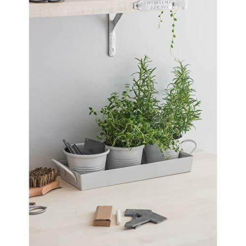 Garden Trading Kitchen Accessories Set of 3 Chalk Finished Herb Pots on Tray