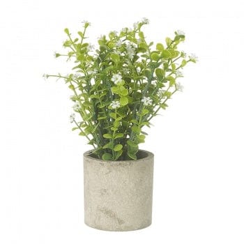 Heaven Sends Home accessories Artificial Green & White Plant in Concrete Designed Pot