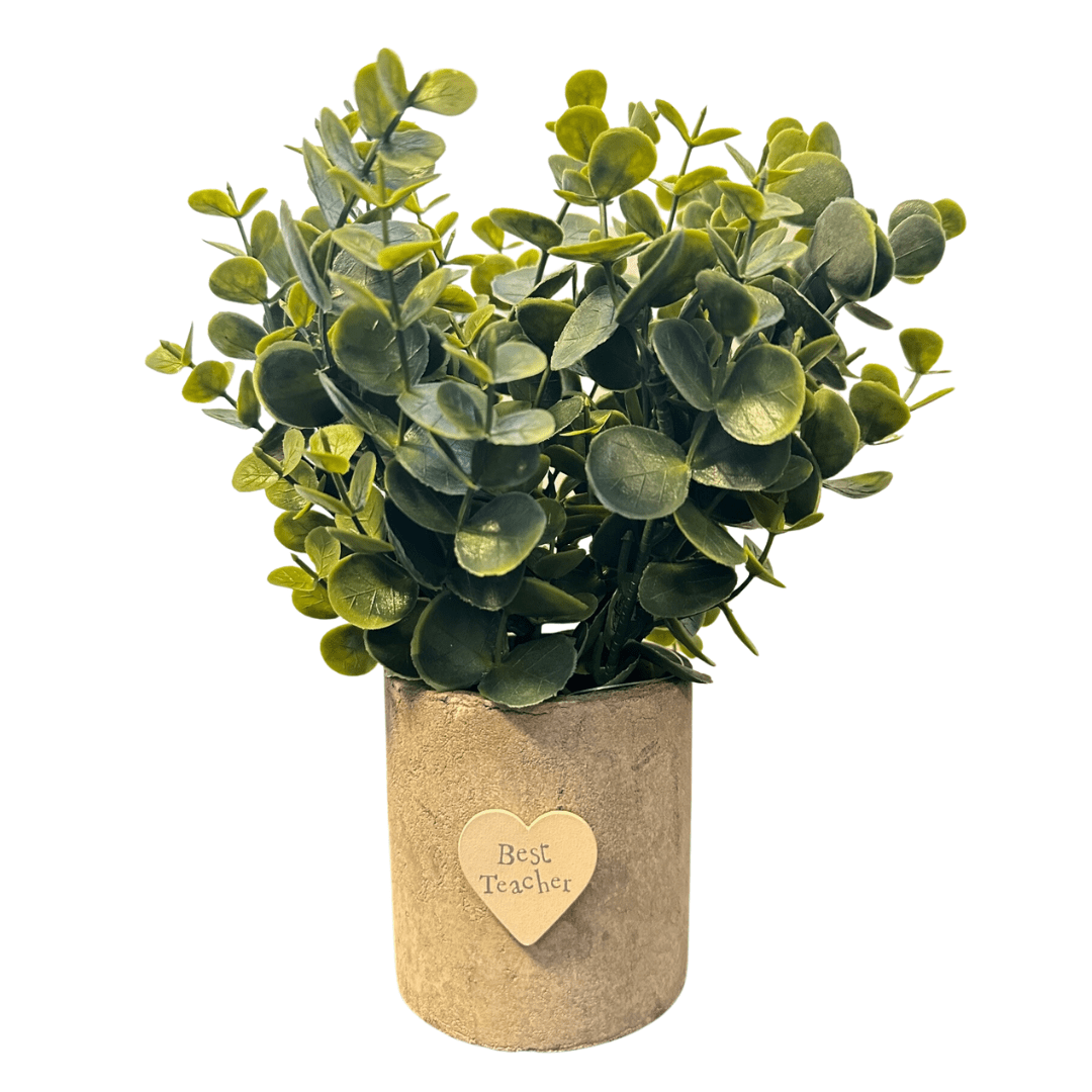 Heaven Sends Artificial Flora Best Teacher Faux Eucalyptus Plant Pot