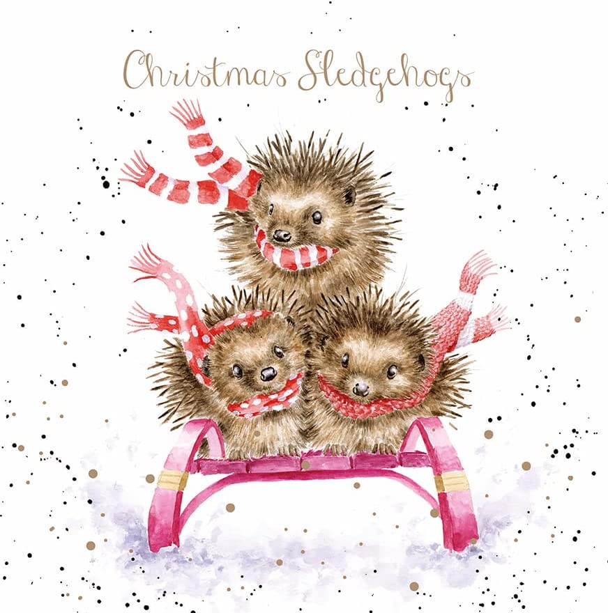 Mollie and Fred Gifts Christmas Sledgehogs Set of 8 Luxury Foiled Christmas Cards
