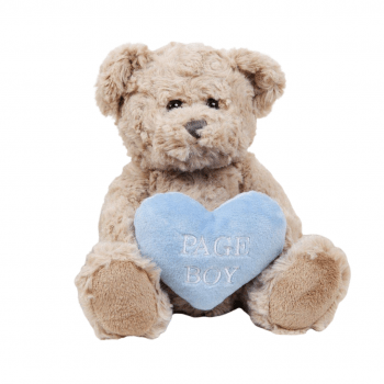 Widdop Gifts Adorable Page Boy Teddy Bear
